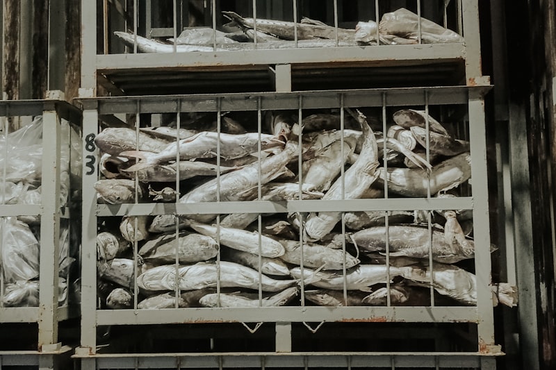 Frozen produce stacked in metal storage cages inside a cold store.