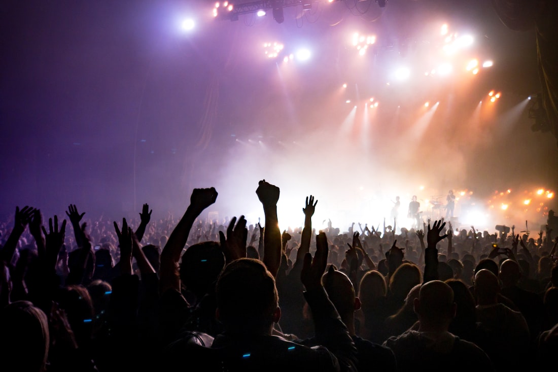 A crowd at a live event, the kind of venue covered by professional crowd control and event security.